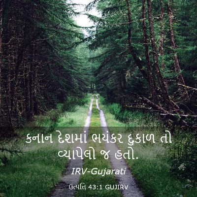 Picture 03 - ઉત્પત્તિ 43:1 GUJIRV - કનાન દેશમાં ભયંકર - Bible Verse Picture