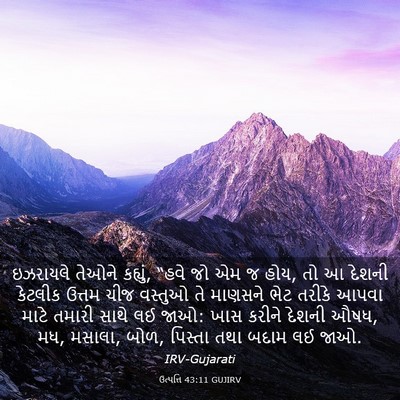Picture 03 - ઉત્પત્તિ 43:11 GUJIRV - ઇઝરાયલે તેઓને - Bible Verse Picture