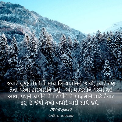 Picture 03 - ઉત્પત્તિ 43:16 GUJIRV - જયારે યૂસફે તેઓની - Bible Verse Picture