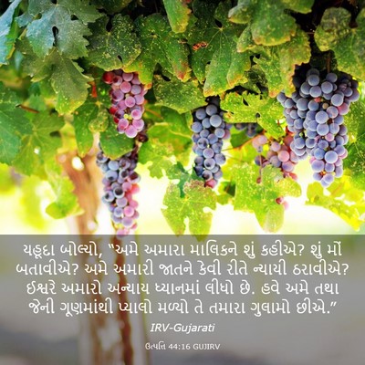 Picture 03 - ઉત્પત્તિ 44:16 GUJIRV - યહૂદા બોલ્યો, “અમે - Bible Verse Picture