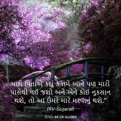 Picture 03 - ઉત્પત્તિ 44:29 GUJIRV - પછી પિતાએ કહ્યું - Bible Verse Picture