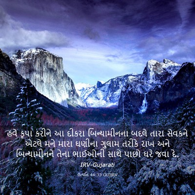 Picture 03 - ઉત્પત્તિ 44:33 GUJIRV - હવે કૃપા કરીને આ - Bible Verse Picture