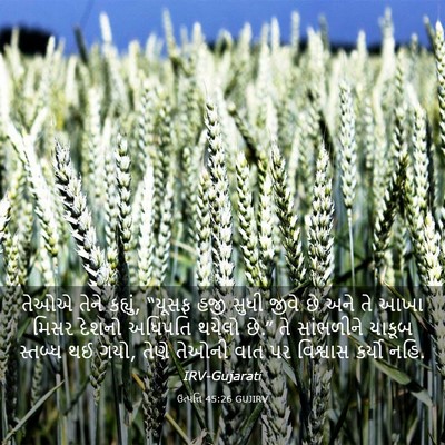 Picture 03 - ઉત્પત્તિ 45:26 GUJIRV - તેઓએ તેને કહ્યું, - Bible Verse Picture