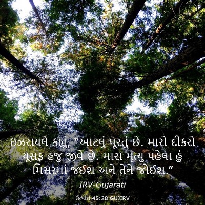 Picture 03 - ઉત્પત્તિ 45:28 GUJIRV - ઇઝરાયલે કહ્યું, - Bible Verse Picture