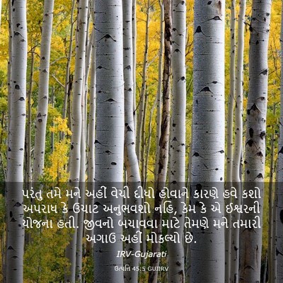 Picture 03 - ઉત્પત્તિ 45:5 GUJIRV - પરંતુ તમે મને અહીં - Bible Verse Picture