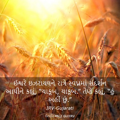 Picture 03 - ઉત્પત્તિ 46:2 GUJIRV - ઈશ્વરે ઇઝરાયલને - Bible Verse Picture