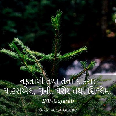 Picture 03 - ઉત્પત્તિ 46:24 GUJIRV - નફતાલી તથા તેના - Bible Verse Picture