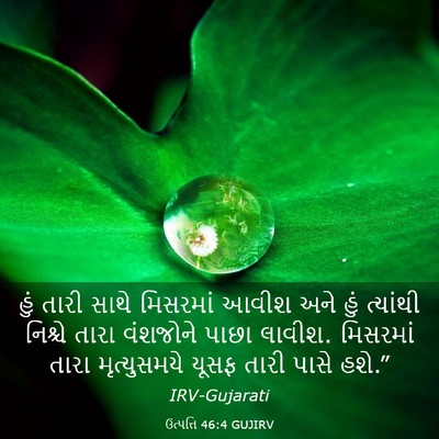 Picture 03 - ઉત્પત્તિ 46:4 GUJIRV - હું તારી સાથે - Bible Verse Picture