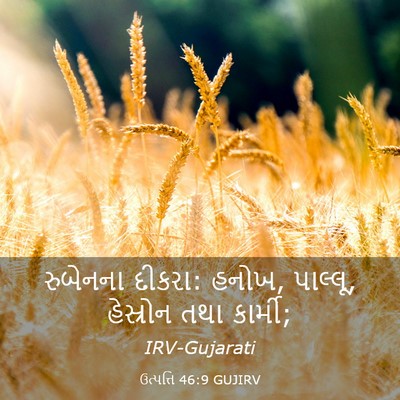 Picture 03 - ઉત્પત્તિ 46:9 GUJIRV - રુબેનના દીકરા: - Bible Verse Picture