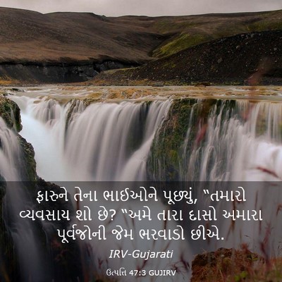 Picture 03 - ઉત્પત્તિ 47:3 GUJIRV - ફારુને તેના - Bible Verse Picture