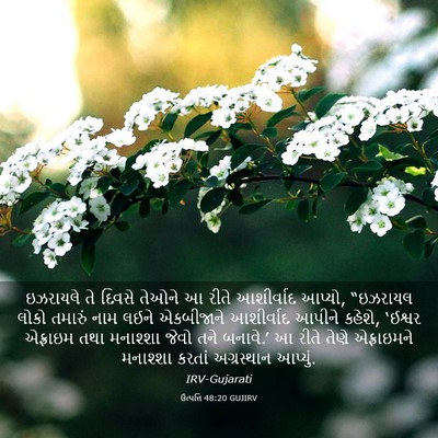 Picture 03 - ઉત્પત્તિ 48:20 GUJIRV - ઇઝરાયલે તે દિવસે - Bible Verse Picture