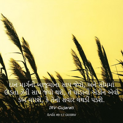 Picture 03 - ઉત્પત્તિ 49:17 GUJIRV - દાન માર્ગની - Bible Verse Picture