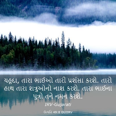 Picture 03 - ઉત્પત્તિ 49:8 GUJIRV - યહૂદા, તારા ભાઈઓ - Bible Verse Picture