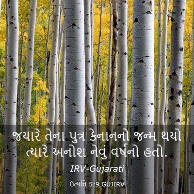 Picture 03 - ઉત્પત્તિ 5:9 GUJIRV - જયારે તેના પુત્ર - Bible Verse Picture