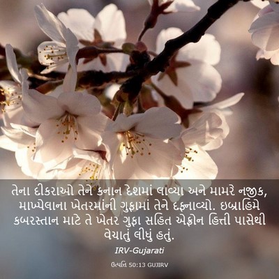 Picture 03 - ઉત્પત્તિ 50:13 GUJIRV - તેના દીકરાઓ તેને - Bible Verse Picture