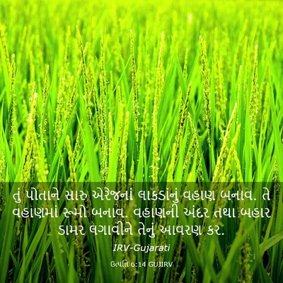 Picture 03 - ઉત્પત્તિ 6:14 GUJIRV - તું પોતાને સારુ - Bible Verse Picture
