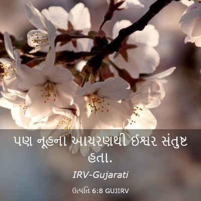 Picture 03 - ઉત્પત્તિ 6:8 GUJIRV - પણ નૂહના આચરણથી - Bible Verse Picture