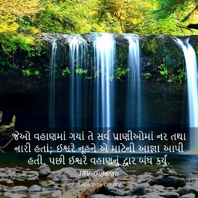 Picture 03 - ઉત્પત્તિ 7:16 GUJIRV - જેઓ વહાણમાં ગયાં - Bible Verse Picture
