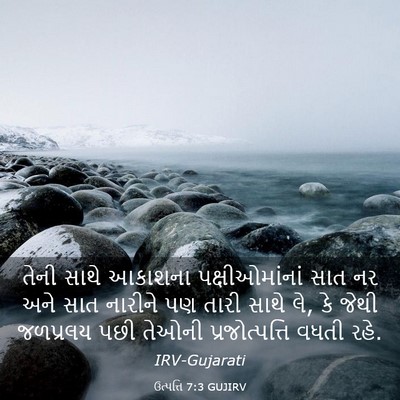 Picture 03 - ઉત્પત્તિ 7:3 GUJIRV - તેની સાથે આકાશના - Bible Verse Picture