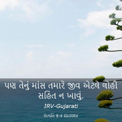 Picture 03 - ઉત્પત્તિ 9:4 GUJIRV - પણ તેનું માંસ - Bible Verse Picture
