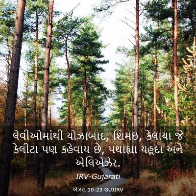 Picture 03 - એઝરા 10:23 GUJIRV - લેવીઓમાંથી - Bible Verse Picture