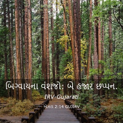 Picture 03 - એઝરા 2:14 GUJIRV - બિગ્વાયના વંશજો: - Bible Verse Picture