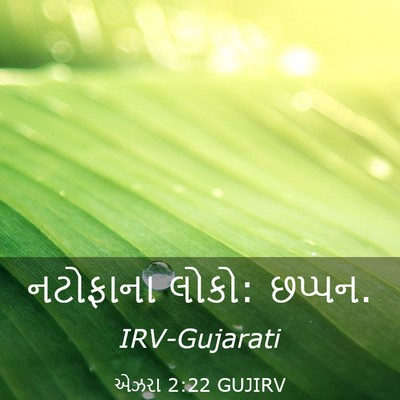 Picture 03 - એઝરા 2:22 GUJIRV - નટોફાના લોકો: - Bible Verse Picture