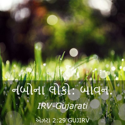 Picture 03 - એઝરા 2:29 GUJIRV - નબોના લોકો: - Bible Verse Picture