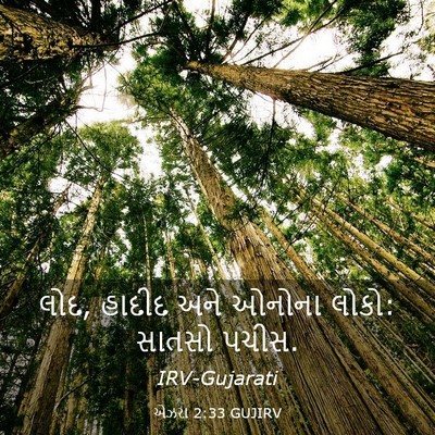 Picture 03 - એઝરા 2:33 GUJIRV - લોદ, હાદીદ અને - Bible Verse Picture