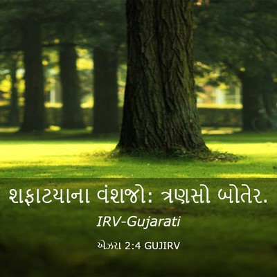 Picture 03 - એઝરા 2:4 GUJIRV - શફાટયાના વંશજો: - Bible Verse Picture