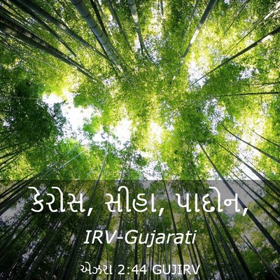 Picture 03 - એઝરા 2:44 GUJIRV - કેરોસ, સીહા, - Bible Verse Picture