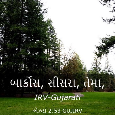 Picture 03 - એઝરા 2:53 GUJIRV - બાર્કોસ, સીસરા, - Bible Verse Picture