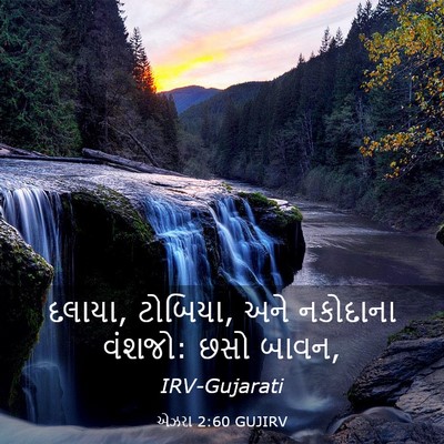 Picture 03 - એઝરા 2:60 GUJIRV - દલાયા, ટોબિયા, અને - Bible Verse Picture