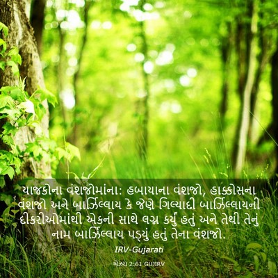 Picture 03 - એઝરા 2:61 GUJIRV - યાજકોના - Bible Verse Picture