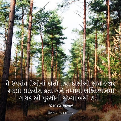 Picture 03 - એઝરા 2:65 GUJIRV - તે ઉપરાંત તેઓનાં - Bible Verse Picture