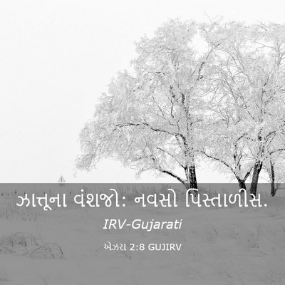 Picture 03 - એઝરા 2:8 GUJIRV - ઝાત્તૂના વંશજો: - Bible Verse Picture