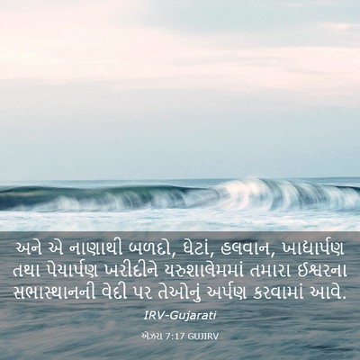 Picture 03 - એઝરા 7:17 GUJIRV - અને એ નાણાથી બળદો, - Bible Verse Picture