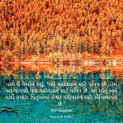 Picture 03 - એઝરા 8:28 GUJIRV - પછી મેં તેઓને - Bible Verse Picture