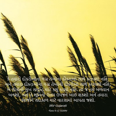 Picture 03 - એઝરા 9:12 GUJIRV - કે તમારી - Bible Verse Picture