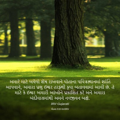 Picture 03 - એઝરા 9:8 GUJIRV - અમારે માટે બચેલો - Bible Verse Picture