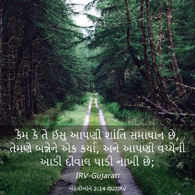 Picture 03 - એફેસીઓને 2:14 GUJIRV - કેમ કે તે ઈસુ આપણી - Bible Verse Picture