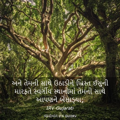 Picture 03 - એફેસીઓને 2:6 GUJIRV - અને તેમની સાથે - Bible Verse Picture
