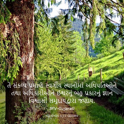 Picture 03 - એફેસીઓને 3:11 GUJIRV - તે સંકલ્પ પ્રમાણે - Bible Verse Picture