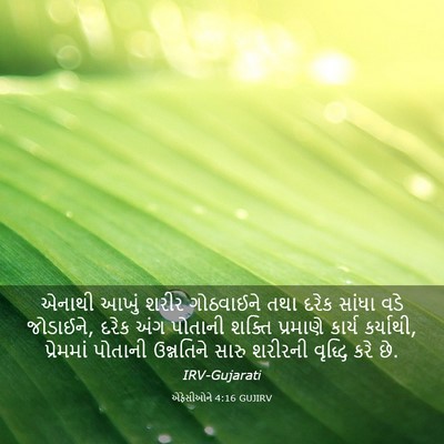 Picture 03 - એફેસીઓને 4:16 GUJIRV - એનાથી આખું શરીર - Bible Verse Picture