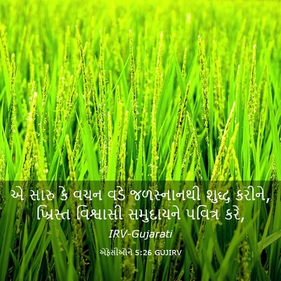 Picture 03 - એફેસીઓને 5:26 GUJIRV - એ સારુ કે વચન વડે - Bible Verse Picture