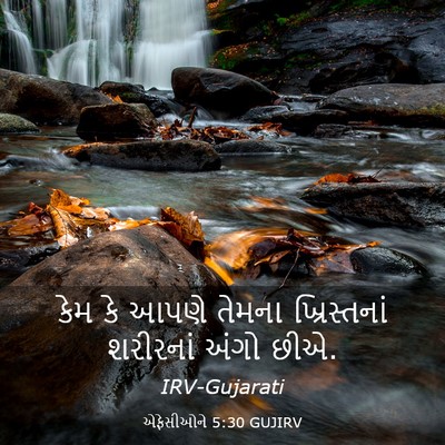 Picture 03 - એફેસીઓને 5:30 GUJIRV - કેમ કે આપણે તેમના - Bible Verse Picture