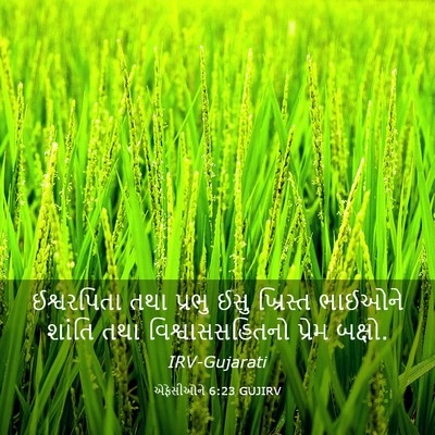 Picture 03 - એફેસીઓને 6:23 GUJIRV - ઈશ્વરપિતા તથા - Bible Verse Picture