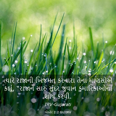 Picture 03 - એસ્તેર 2:2 GUJIRV - ત્યારે રાજાની - Bible Verse Picture