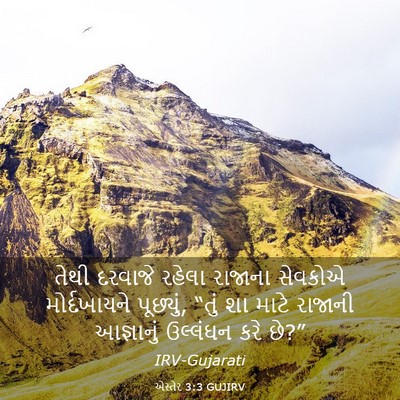 Picture 03 - એસ્તેર 3:3 GUJIRV - તેથી દરવાજે રહેલા - Bible Verse Picture
