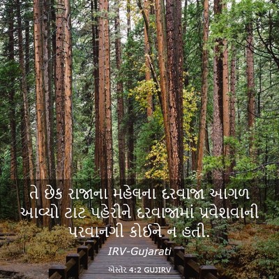Picture 03 - એસ્તેર 4:2 GUJIRV - તે છેક રાજાના - Bible Verse Picture